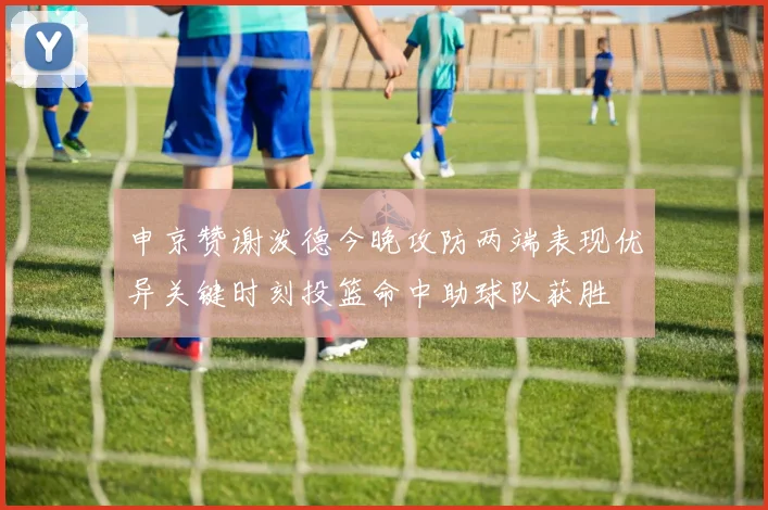 申京赞谢泼德今晚攻防两端表现优异关键时刻投篮命中助球队获胜
