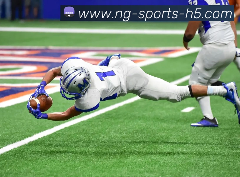 南宫体育平台生态图